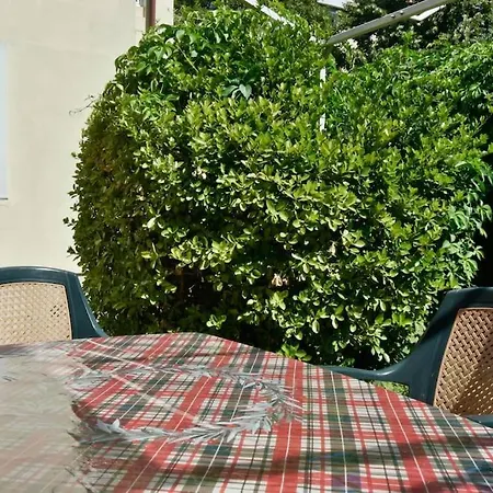 Garden In Center * Sofia