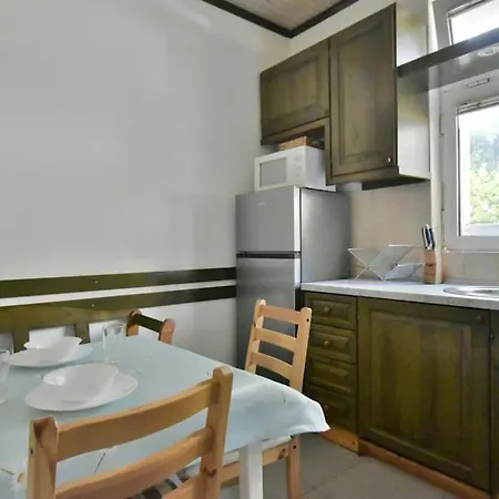 Garden In Center * Sofia